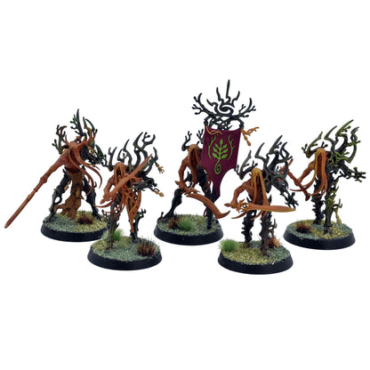 SYLVANETH 5 Tree Revenants #1 PRO PAINTED Warhammer Sigmar 0035
