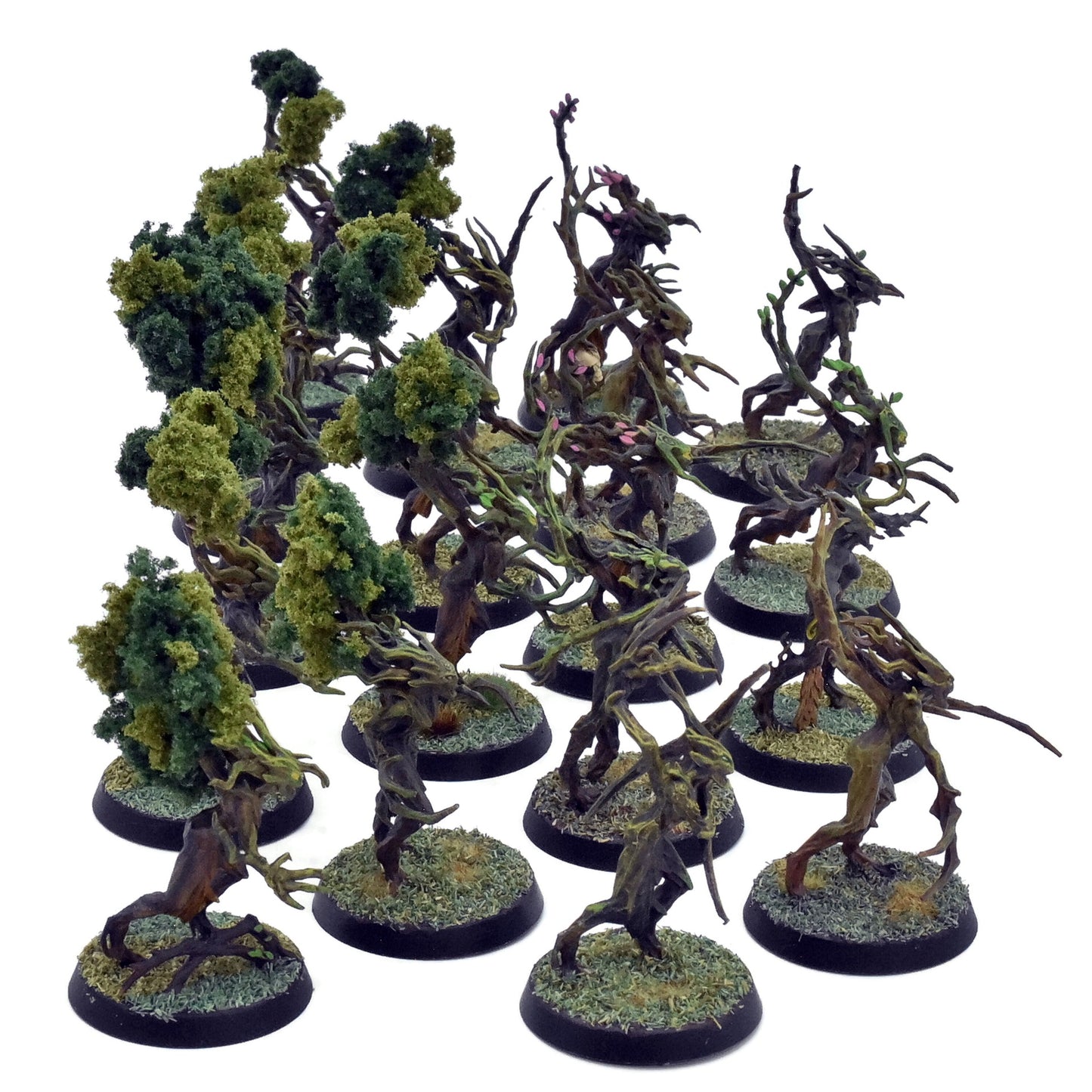 SYLVANETH 18 Dryads #1 PRO PAINTED Warhammer Sigmar 0134