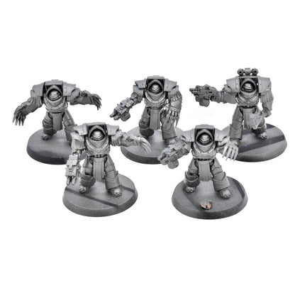 LOYALIST LEGION Legion Cataphractii Terminator Squad #3 The Horus Heresy 0677
