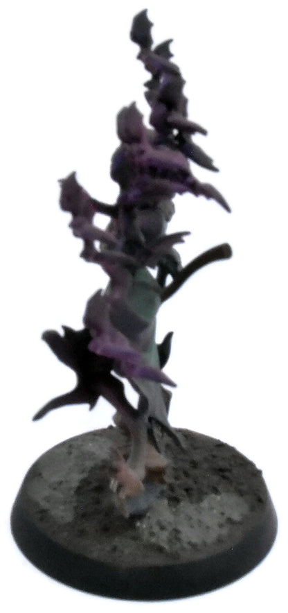 SOULBLIGHT GRAVELORDS Ivya Volga #1 PRO PAINTED Warhammer Sigmar 5594