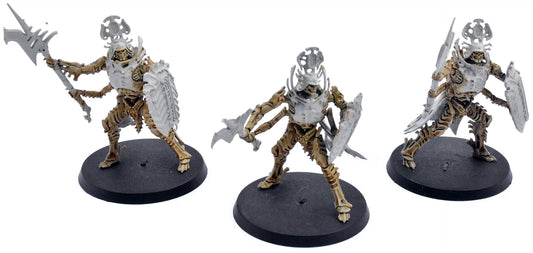 OSSIARCH BONEREAPERS 3 Immortis Guard #1 Warhammer Sigmar 5846