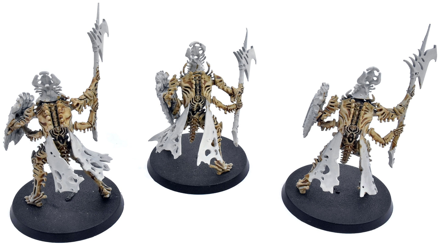 OSSIARCH BONEREAPERS 3 Immortis Guard #1 Warhammer Sigmar 5846