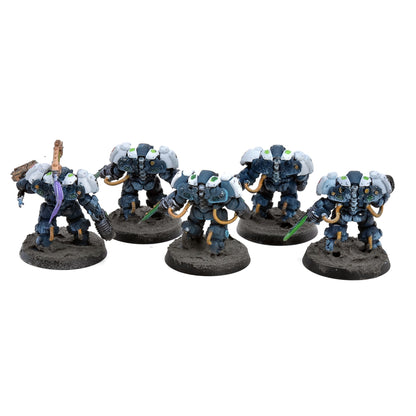 LEAGUES OF VOTANN 5 Einhyr Hearthguard #1 Warhammer 40K 1704