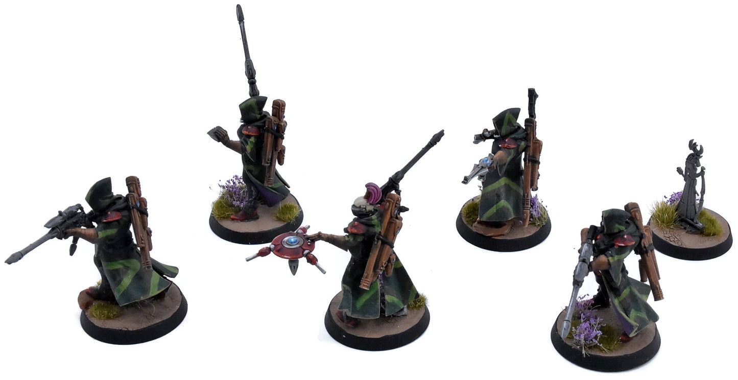 AELDARI 5 Rangers #1 PRO PAINTED Warhammer 40K 6843