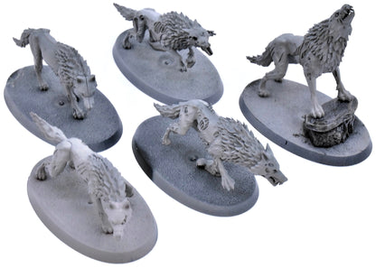 SOULBLIGHT GRAVELORDS 5 Dire Wolves #2 Warhammer Sigmar 7161