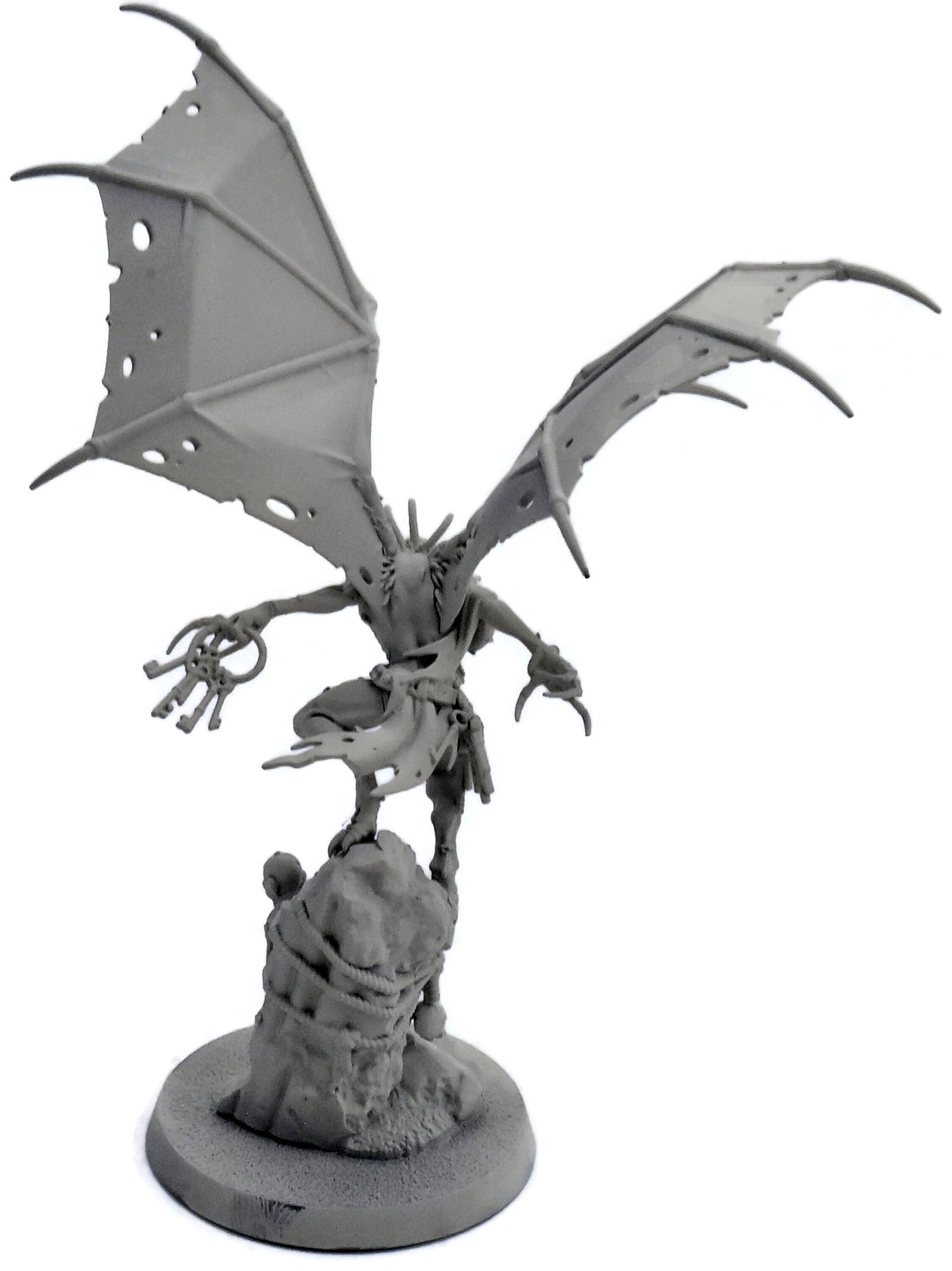 FLESH-EATER COURTS Abhorrant Gorewarden #1 Warhammer Sigmar 8052