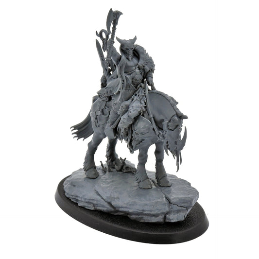 SLAVES TO DARKNESS Darkoath Chieftain On Warsteed #1 Warhammer Sigmar 7613