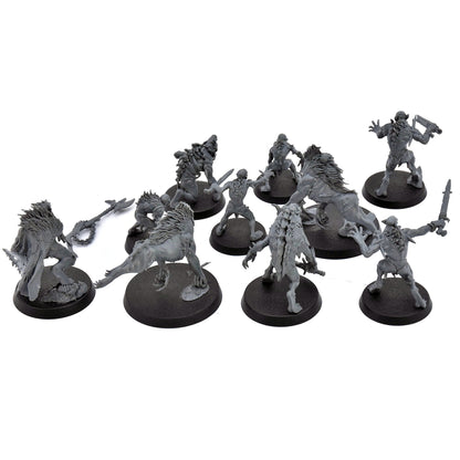 WARBAND Royal Beastflayers #1 Warhammer Sigmar 7699