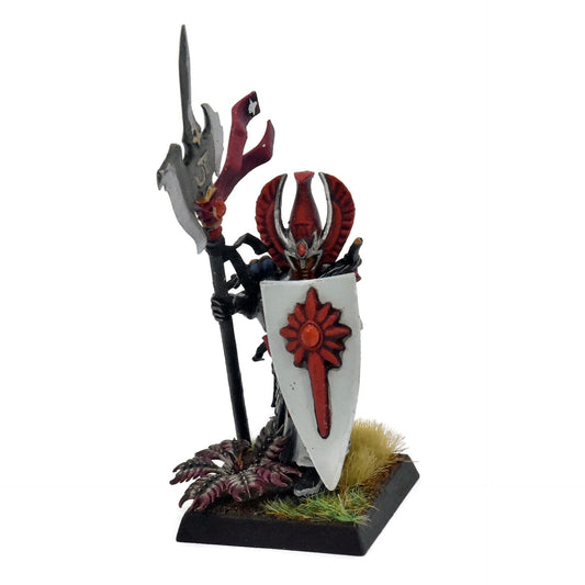DARK ELVES Caradryan / Mage #1 CONVERTED Warhammer Warhammer Fantasy 8047