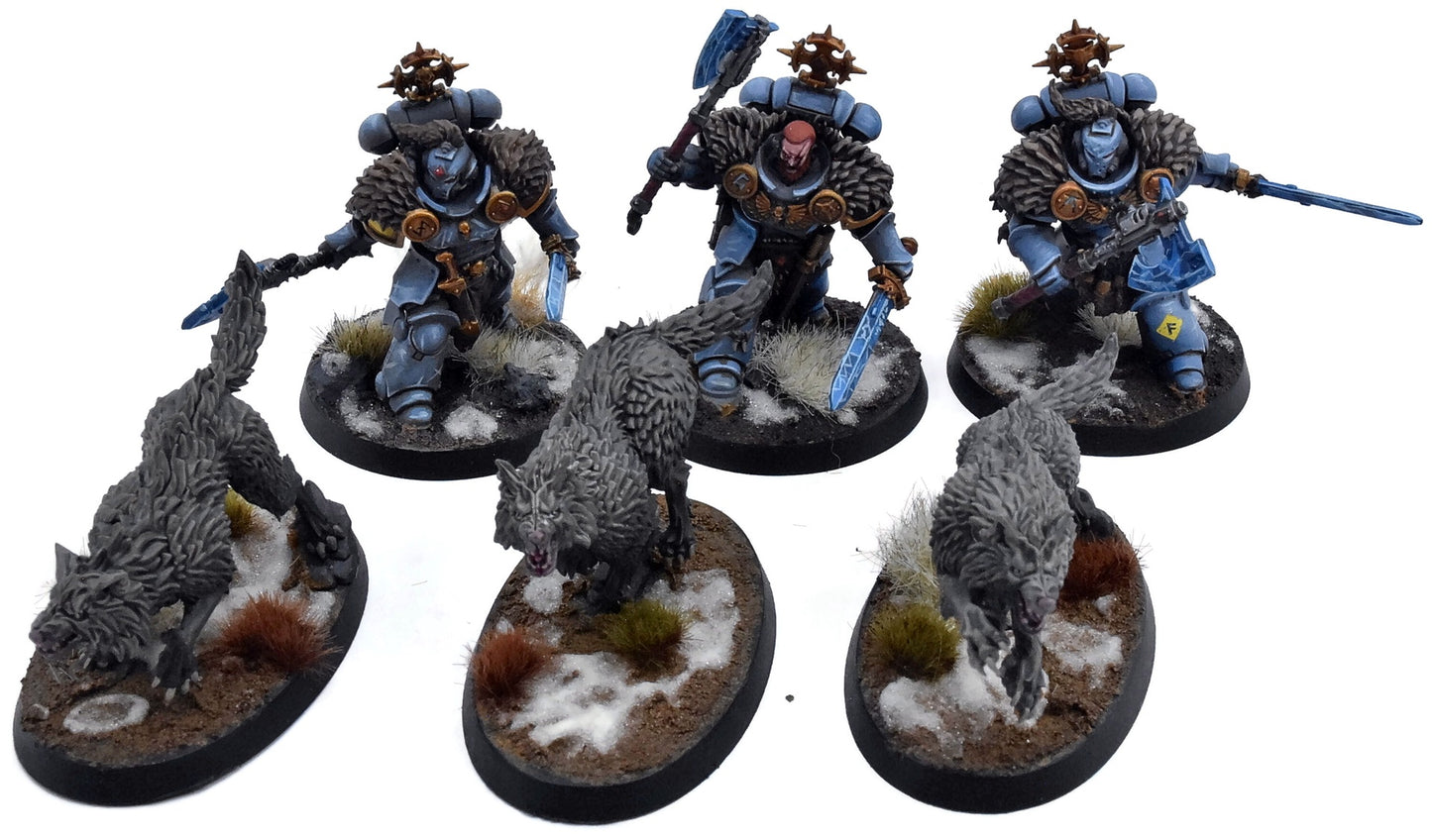 SPACE WOLVES 3 Wolf Guard Headtakers #1 PRO PAINTED Warhammer 40K 3894