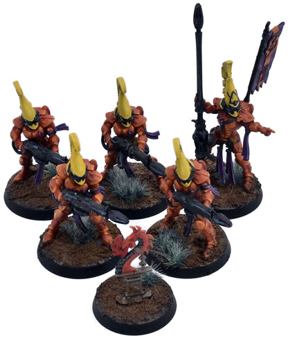 AELDARI 5 Fire Dragons #1 PRO PAINTED Warhammer 40K 3900