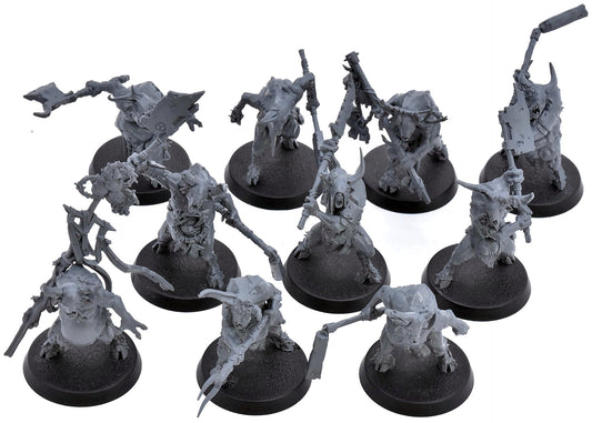 MAGGOTKIN OF NURGLE 10 Pestigors #1 Warhammer Sigmar 4471
