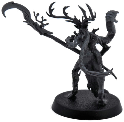 SYLVANETH Branchwych #1 Warhammer Sigmar 4969