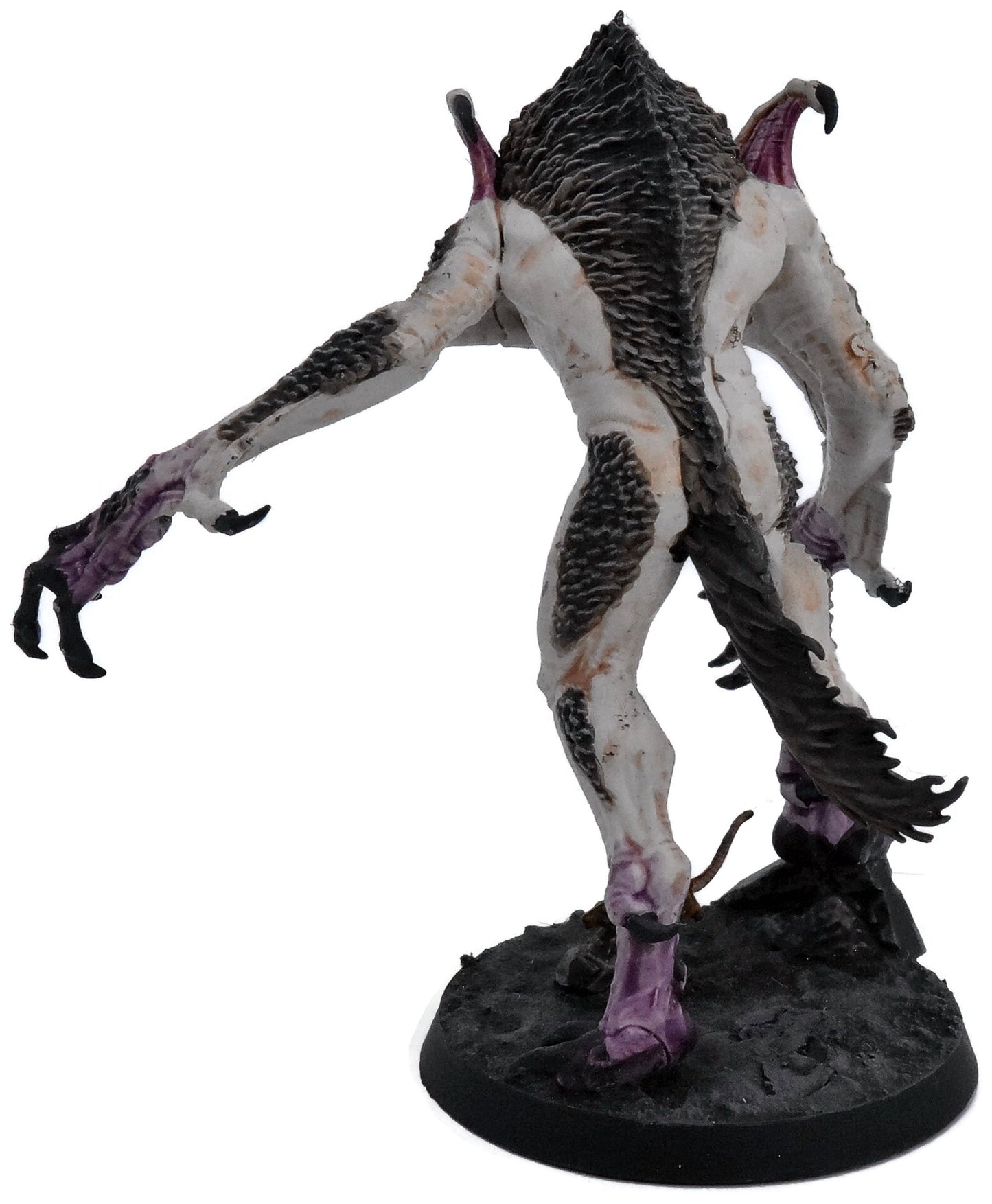 SOULBLIGHT GRAVELORDS Vargskyr #1 WELL PAINTED Warhammer Sigmar 5089