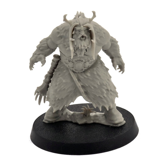 CITIES OF SIGMAR Drasher Vorn The Rampaging Beast Quest Darkwater #1 0415