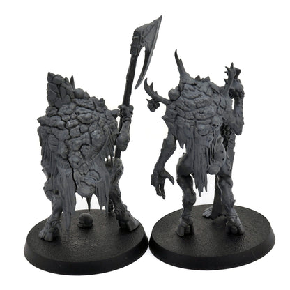 MAGGOTKIN OF NURGLE Cankerborn Quest Darkwater #1 0453