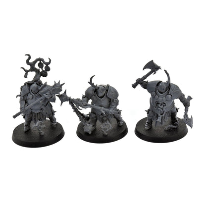 MAGGOTKIN OF NURGLE 3 Blight Templars Quest Darkwater #1 0491