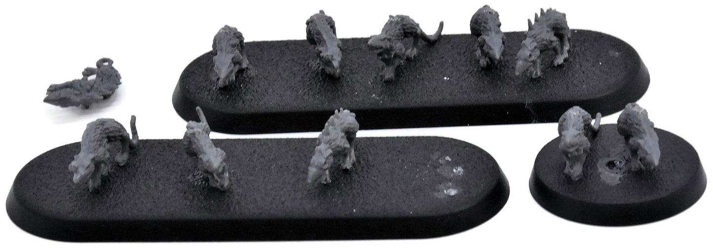 SKAVEN Rat Swarms #1 Warhammer Sigmar 6062