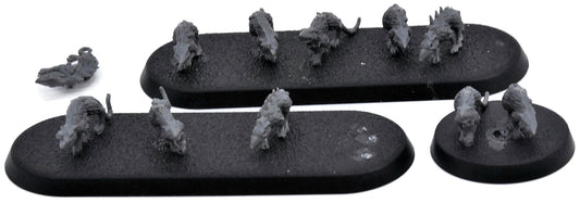 SKAVEN Rat Swarms #1 Warhammer Sigmar 6062