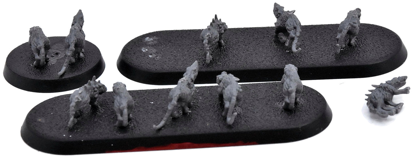 SKAVEN Rat Swarms #1 Warhammer Sigmar 6062
