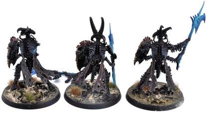 OSSIARCH BONEREAPERS 3 Mortis Guard #1 WELL PAINTED Warhammer Sigmar 2167