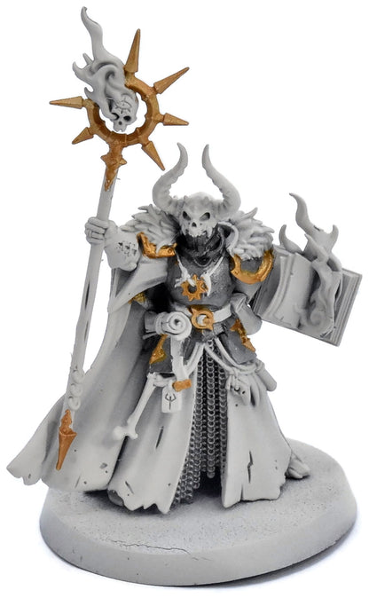 SLAVES TO DARKNESS Chaos Sorcerer Lord #1 Warhammer Sigmar 3508