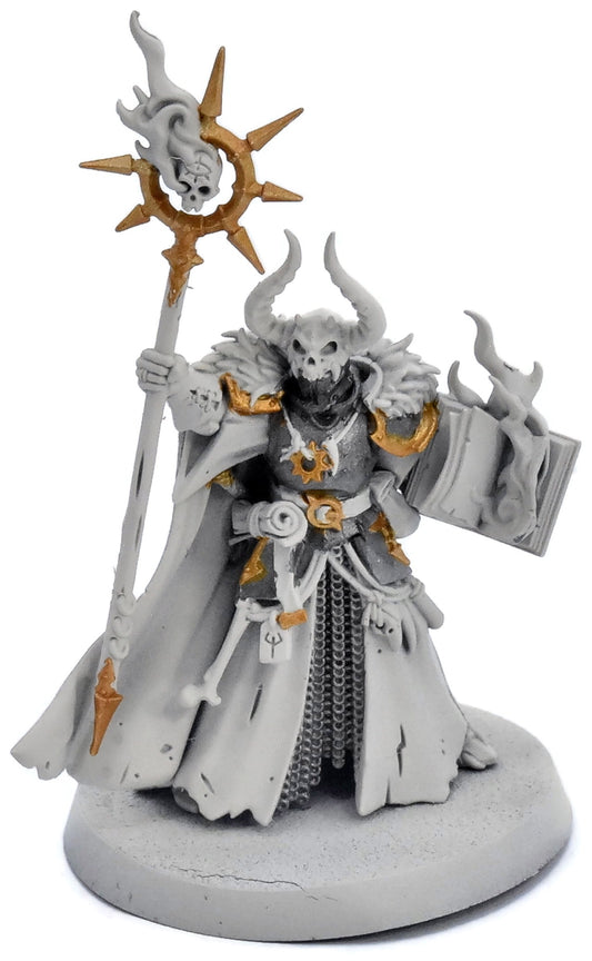 SLAVES TO DARKNESS Chaos Sorcerer Lord #1 Warhammer Sigmar 3508