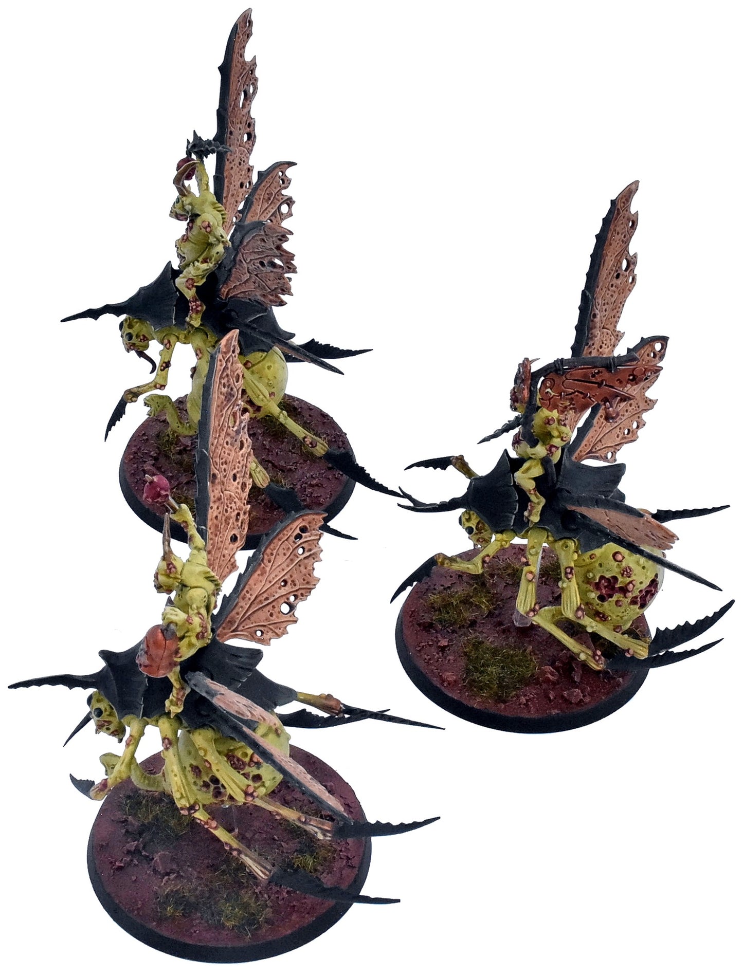 MAGGOTKIN OF NURGLE 3 Plague Drones Of Nurgle #1 COMMISSION PRO PAINTED 3713