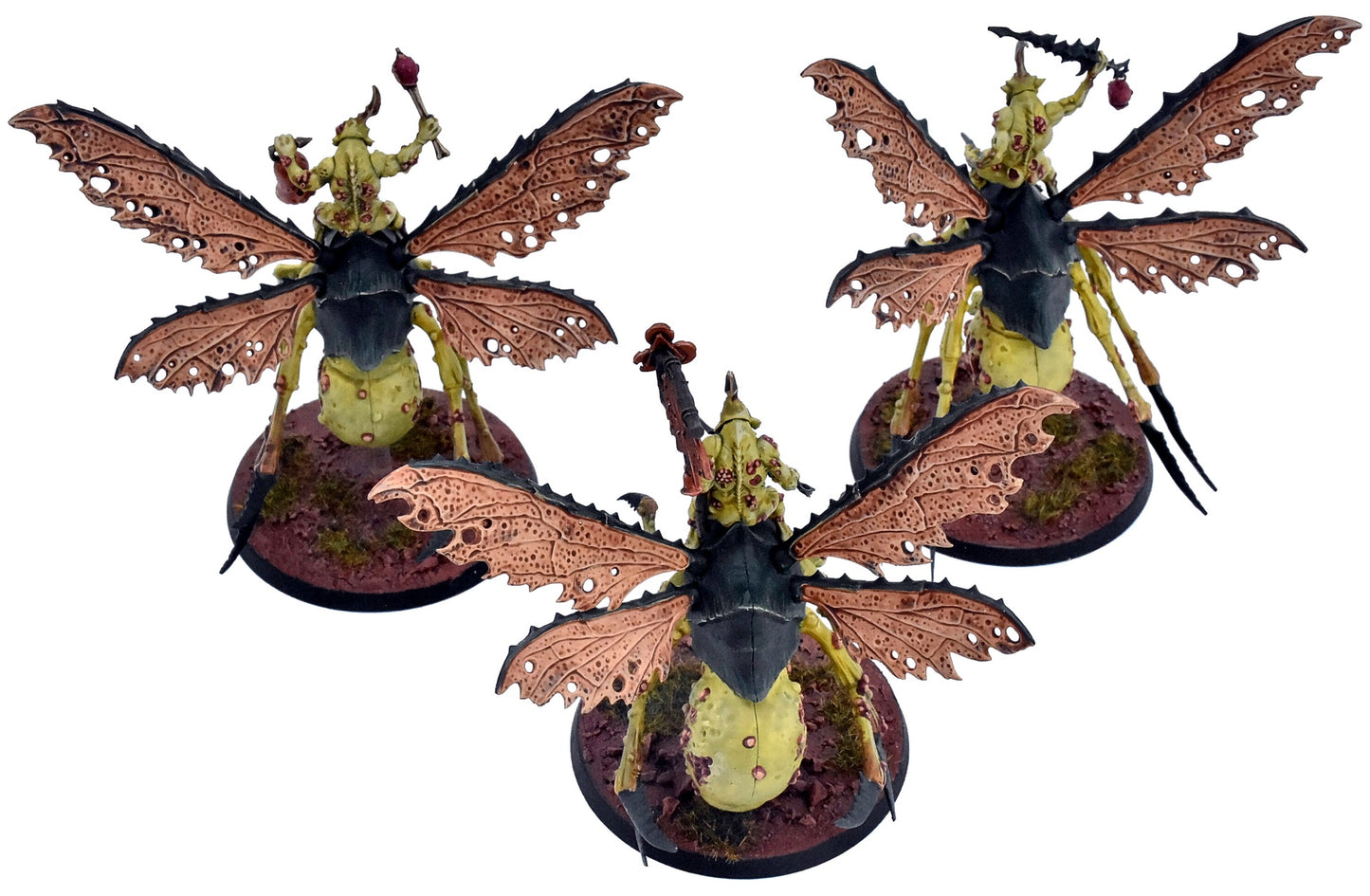 MAGGOTKIN OF NURGLE 3 Plague Drones Of Nurgle #1 COMMISSION PRO PAINTED 3713
