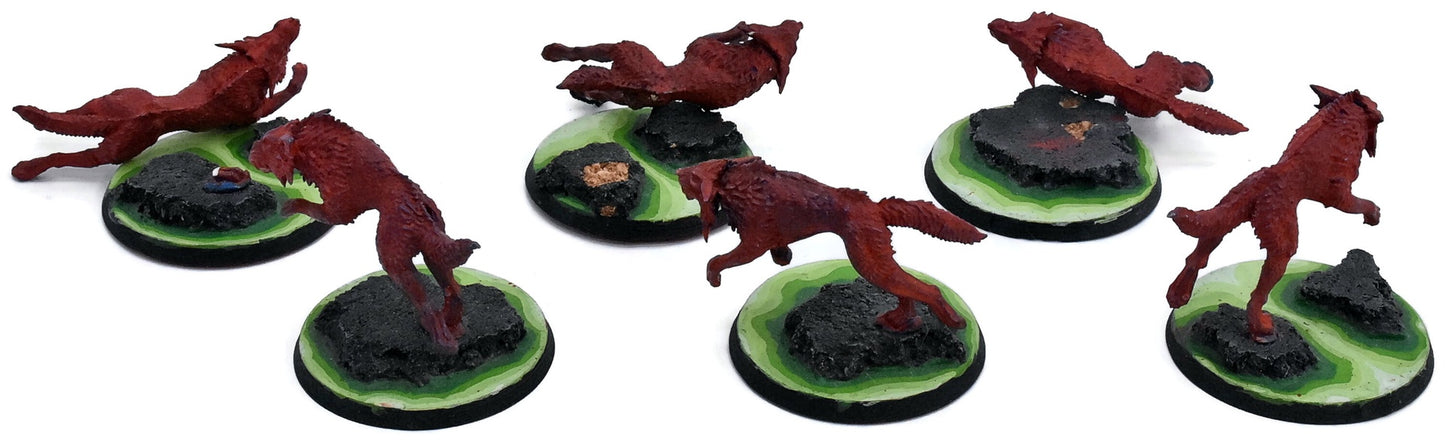SPACE WOLVES 6 Fenrisian Wolves #1 Warhammer 40K 0366