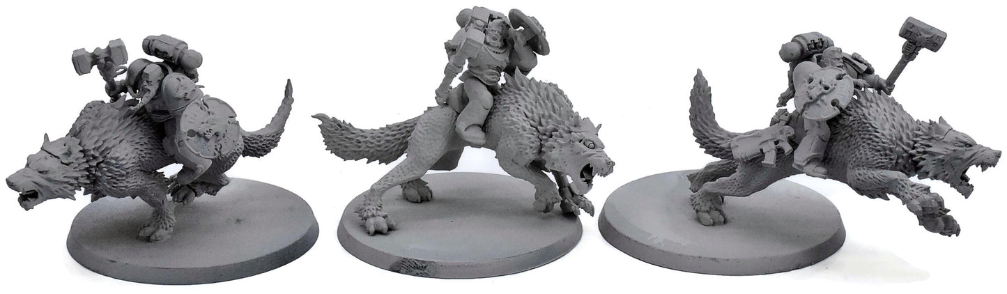 SPACE WOLVES 3 Thunderwolf Cavalry #1 Warhammer 40K 0410