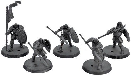 STORMCAST ETERNALS 5 Vindictors #1 Warhammer Sigmar 0502