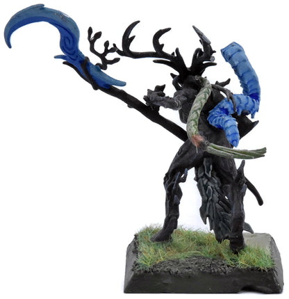 SYLVANETH Branchwych #1 Warhammer Sigmar 5502