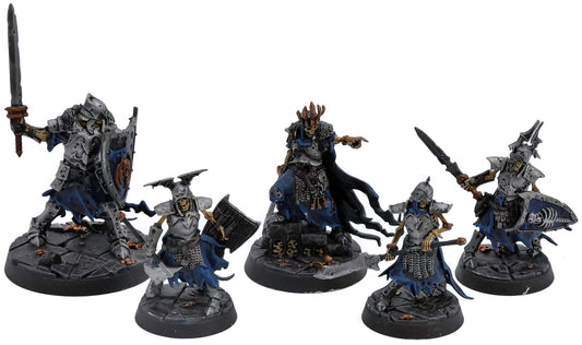 SOULBLIGHT GRAVELORDS 5 Sons Of Velmorn #1 WELL PAINTED Sigmar 5533