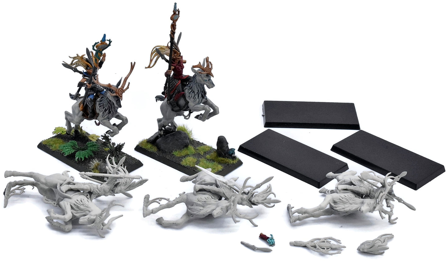 WOOD ELVES 5 Sisters Of The Thorn #1 Warhammer Warhammer Fantasy 5564