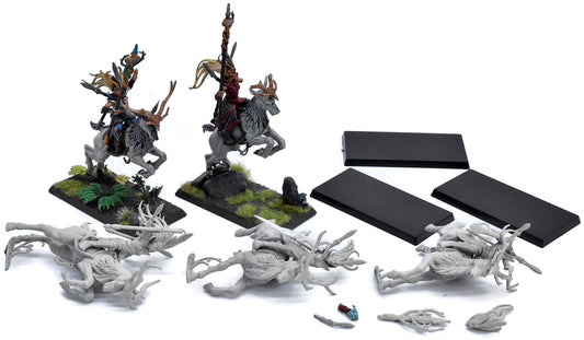 WOOD ELVES 5 Sisters Of The Thorn #1 Warhammer Warhammer Fantasy 5564
