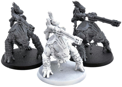 TAU EMPIRE 3 Krootox Rider #1 Warhammer 40K 2308