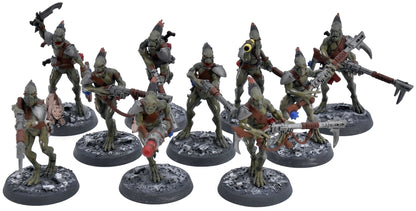 TAU EMPIRE 10 Kroot Carnivore Squad #2 Warhammer 40K 2421