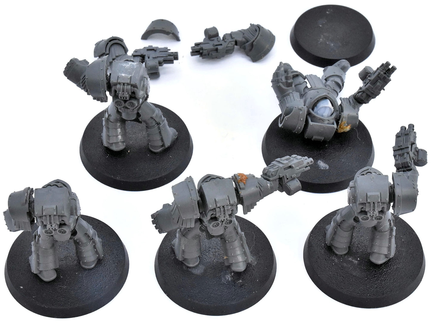 LOYALIST Cataphractii Terminator #1 The Horus Heresy 6547