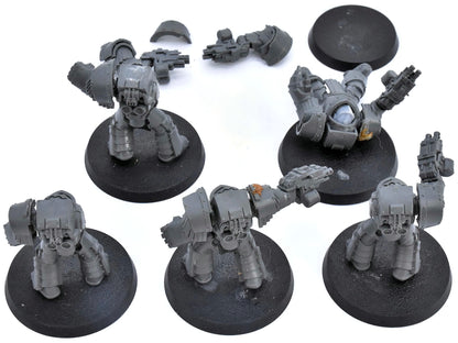 LOYALIST Cataphractii Terminator #1 The Horus Heresy 6547