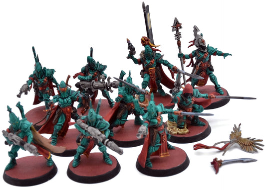AELDARI 10 Corsair Voidreavers #1 WELL PAINTED Warhammer 40K 2827