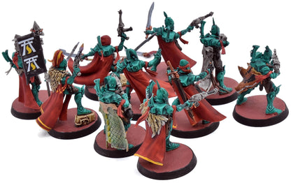 AELDARI 10 Corsair Voidreavers #1 WELL PAINTED Warhammer 40K 2827