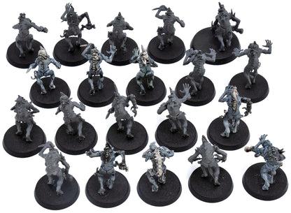 FLESH-EATER COURTS 20 Crypt Ghouls Ghast Courtier #1 Sigmar 6974