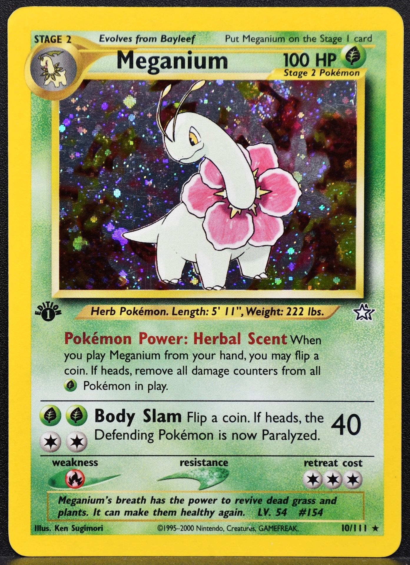 Pokemon TCG Meganium 1st Edition 10/111 Neo Genesis Holofoil DM
