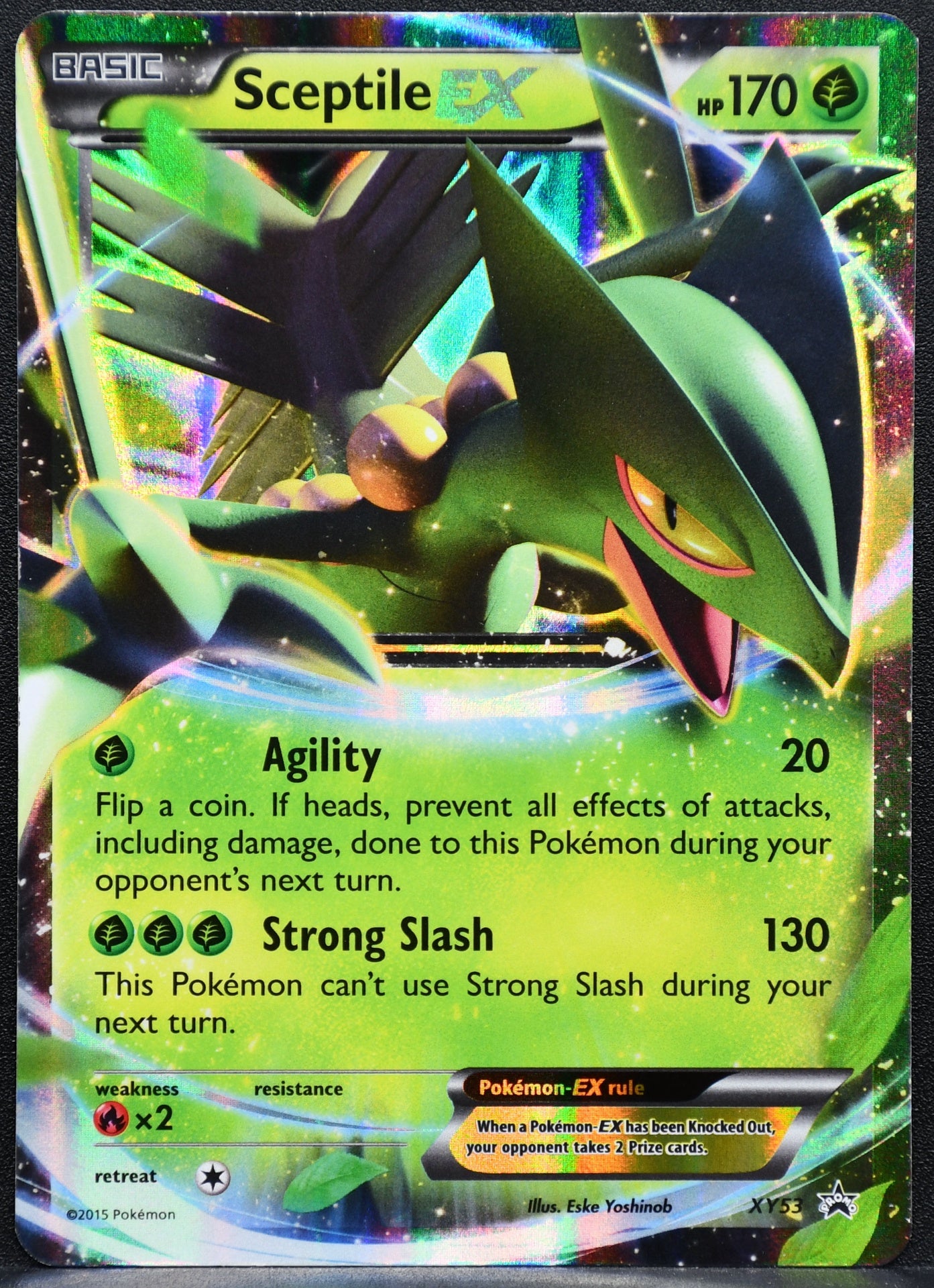 Pokemon TCG Sceptile EX XY53 XY Black Star MP