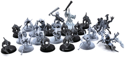 SERAPHON 20 Skink with skink priest #1 Warhammer Sigmar 3466