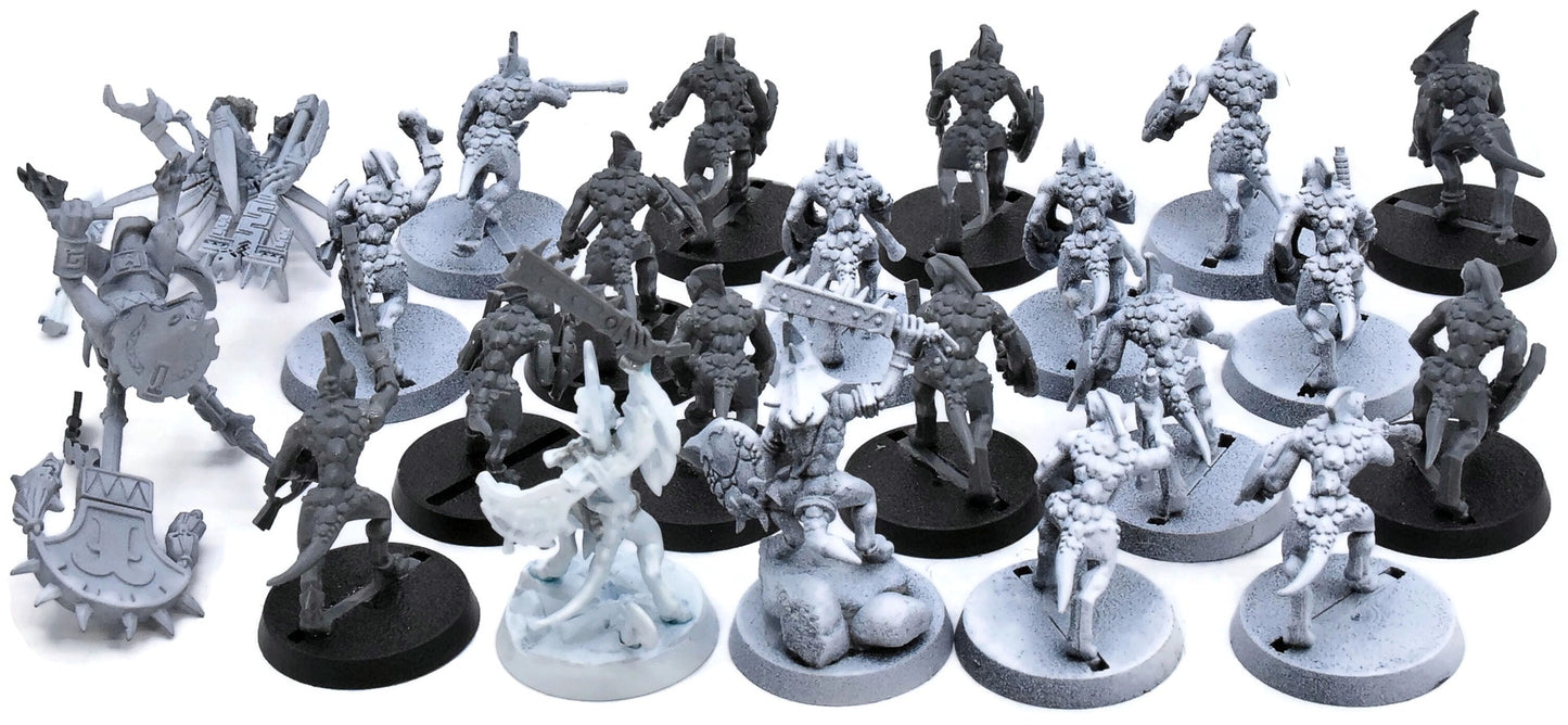 SERAPHON 20 Skink with skink priest #1 Warhammer Sigmar 3466