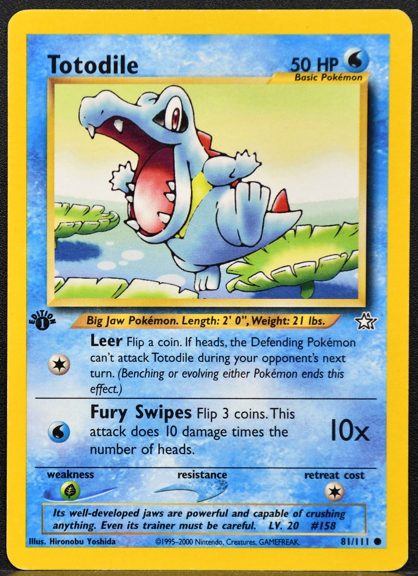 Pokemon TCG Totodile 1st Edition 81/111 Neo Genesis HP