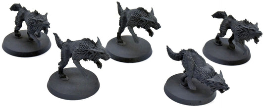 SPACE WOLVES 5 Fenrisian Wolves #1 Warhammer 40K 3089