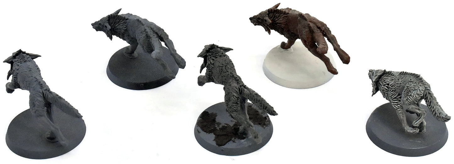 SPACE WOLVES 5 Fenrisian Wolves #3 Warhammer 40K 3133